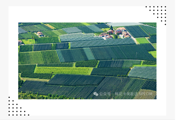 微信图片_20240725115908