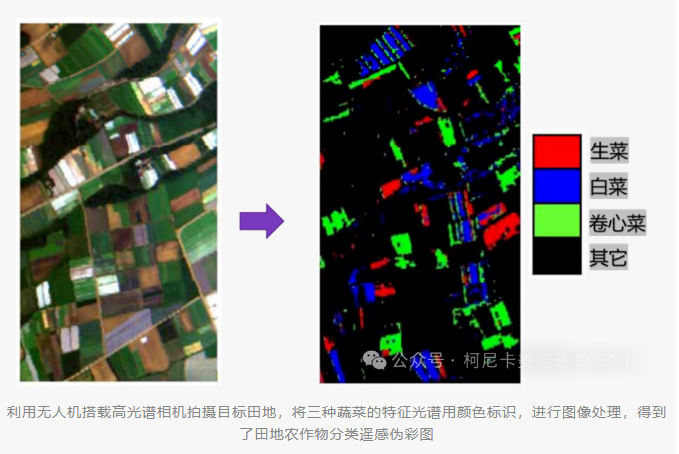 微信图片_20240725120132